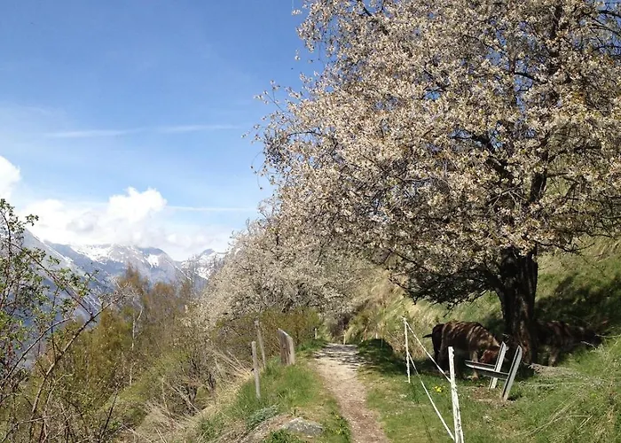 Mont Rouge 4 Vallees Veysonnaz