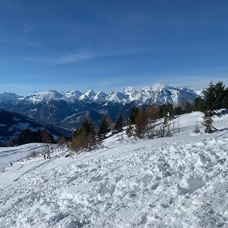 公寓 Mont Rouge 4 Vallees *