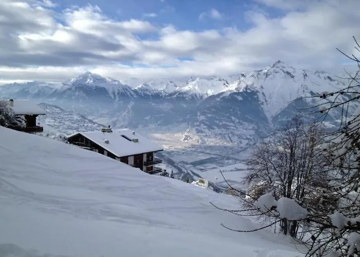 Mont Rouge 4 Vallees * 维松纳