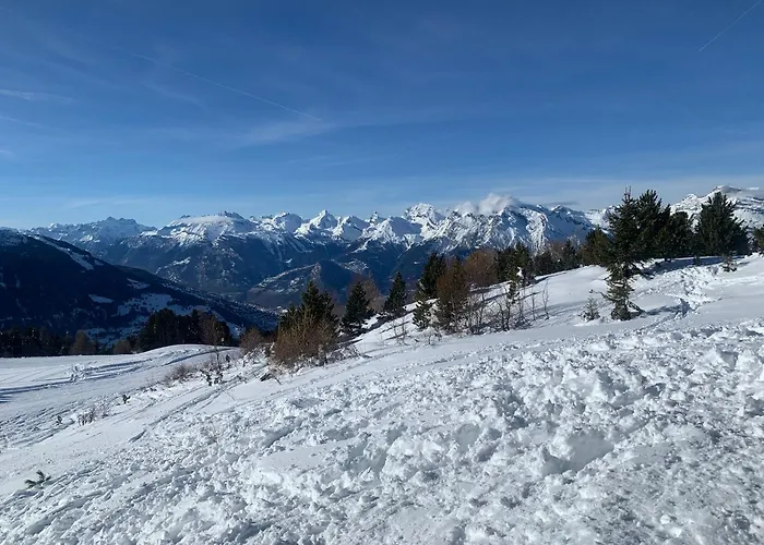 公寓 Mont Rouge 4 Vallees *